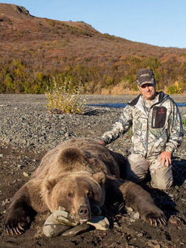 Alaska Giant Arctic Grizzly Bear