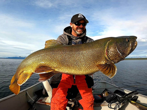 Yukon Giant Lake Trout