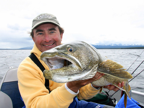 Yukon Giant Lake Trout