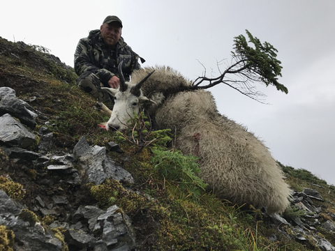 Alaska Back Pack Mountain Goat on Kodiak Island