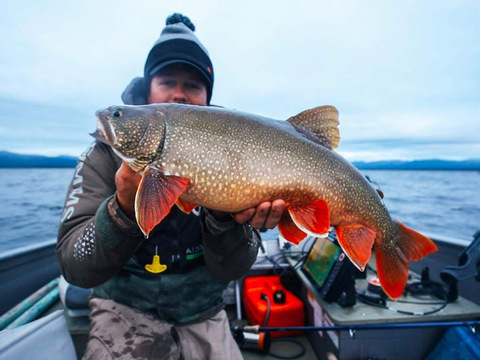 Yukon Giant Lake Trout