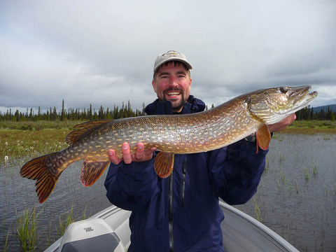 Yukon Giant Lake Trout