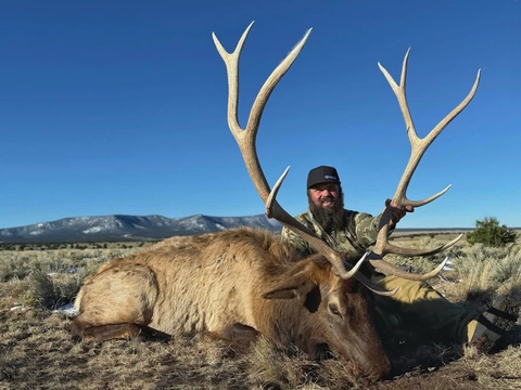New Mexico Trophy Class Bull Elk