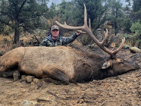 New Mexico Trophy Class Bull Elk
