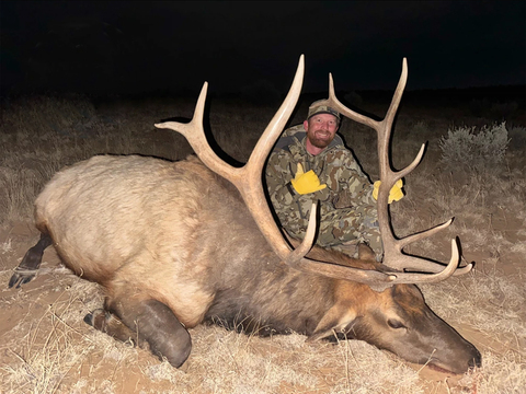 New Mexico Trophy Class Bull Elk