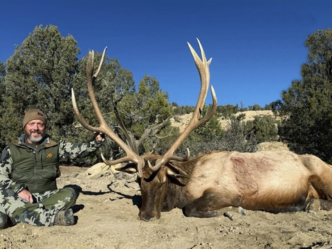 New Mexico Trophy Class Bull Elk