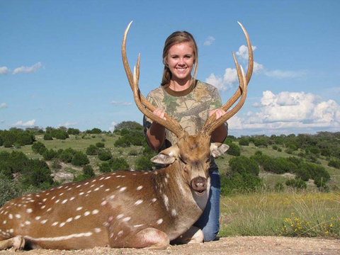 Massive Texas Whitetail (Estate)