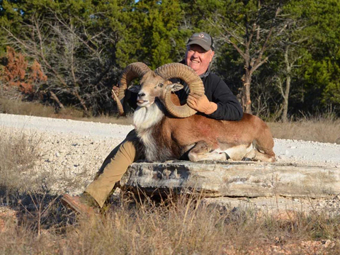 Massive Texas Whitetail (Estate)