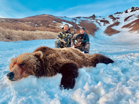 Interior Grizzly or Coastal Brown Bear