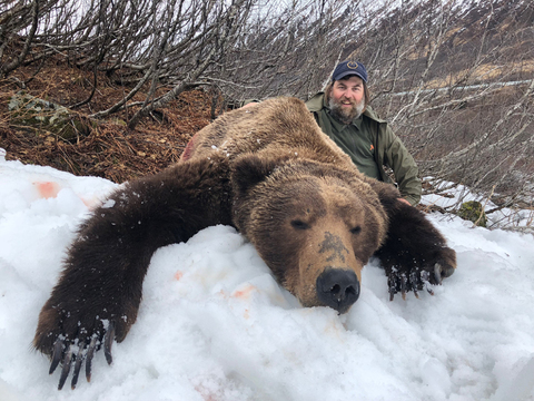 Interior Grizzly or Coastal Brown Bear