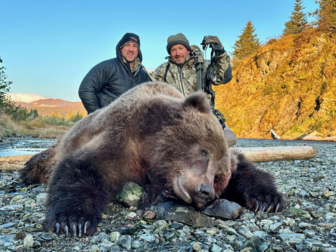 Interior Grizzly or Coastal Brown Bear