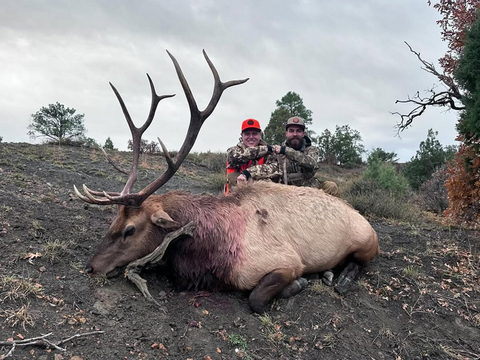 Colorado Unit 76 Elk Hunts