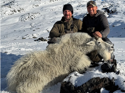 Kodiak Island Mountain Goat Hunts