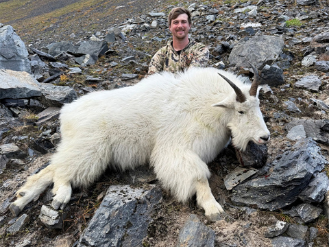 Kodiak Island Mountain Goat Hunts