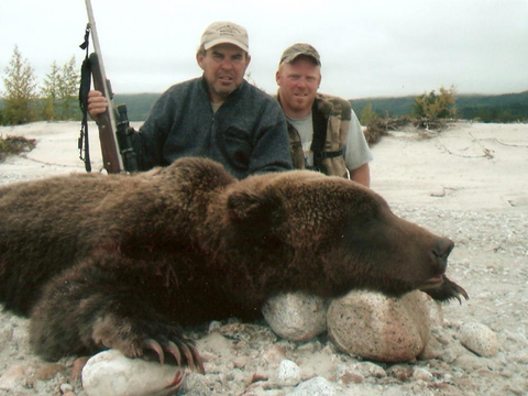 Alaska Peninsula Brown Bear