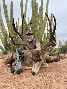 Trophy Class Mexico Mule Deer Hunt