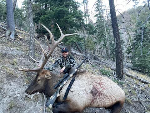 New Mexico Trophy Elk Hunts - Units 16A, 16D, 17, 34 and 36