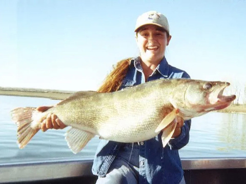 Idaho Hells Canyon Sturgeon, Stealhead, Walleye and Salmon