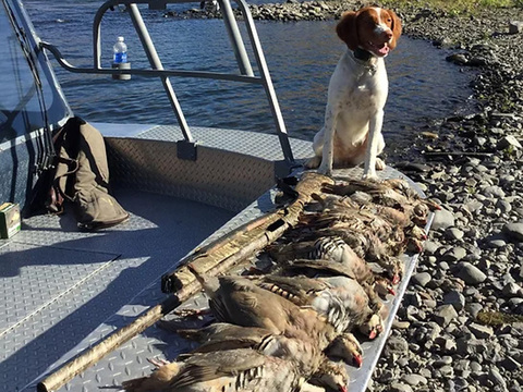 Idaho Hells Canyon Sturgeon, Stealhead, Walleye and Salmon