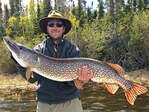 Manitoba Fly-In Trophy Pike Fishing Lodge and Outpost Camps