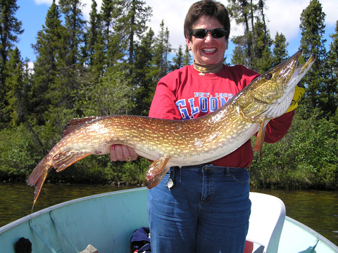 Far North Manitoba Fly-in Fishing Lodge