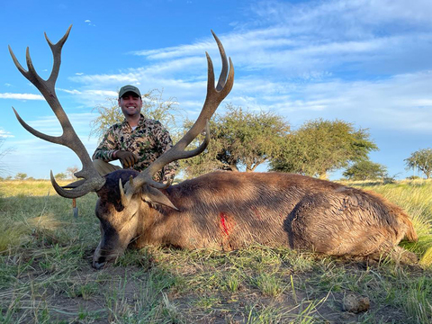 Argentina Free Range Red Stag on Private Land
