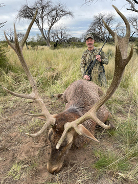Argentina Free Range Red Stag on Private Land