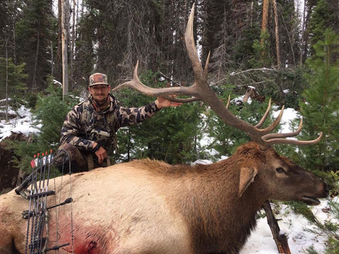 Lodge Based or Back-Country Idaho Elk Hunt