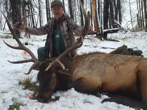 Lodge Based or Back-Country Idaho Elk Hunt