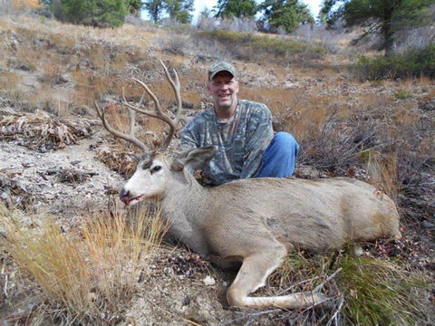 Idaho Lodge Based Mule Deer Hunt