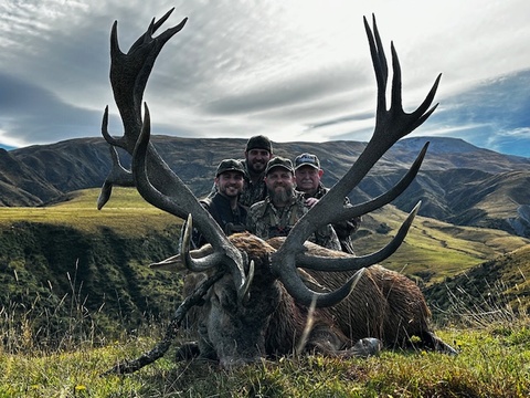 Trophy Quality Red Stag in New Zealand