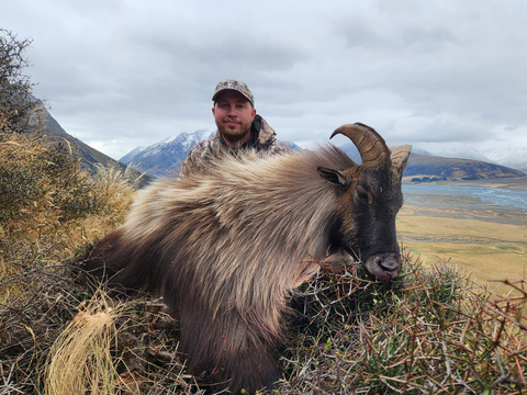 High Success New Zealand Tahr Hunt