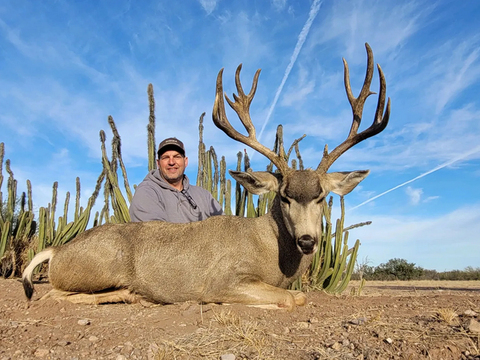 Sonora Mexico Private Land Mule Deer