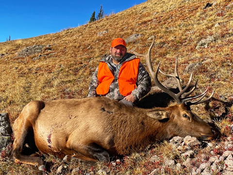 Colorado San Juan Mountains Elk Hunt
