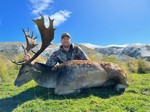 Trophy Quality Red Stag in New Zealand