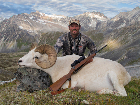 Chugach Mountains Fly-In Dall Sheep