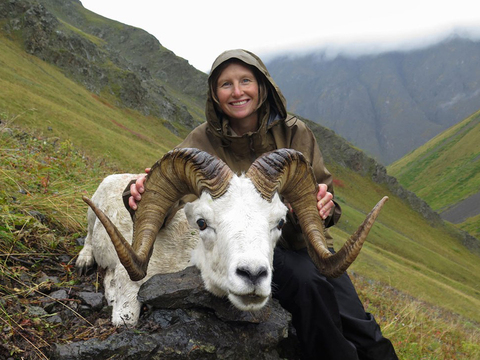 Chugach Mountains Fly-In Dall Sheep