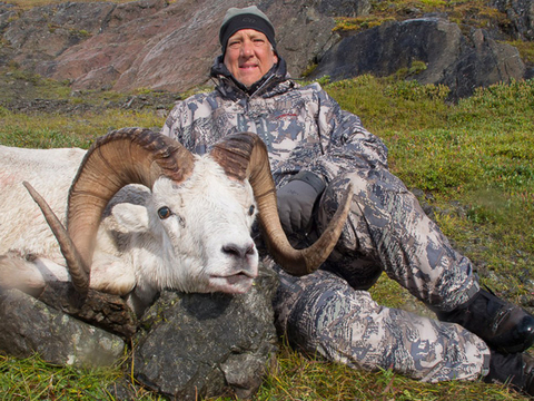 Chugach Mountains Fly-In Dall Sheep