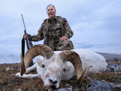 Chugach Mountains Fly-In Dall Sheep