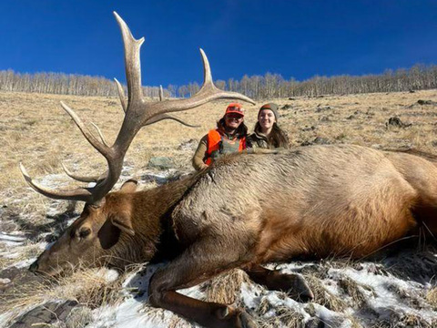 Colorado Gunnison Basin OTC Elk Hunt