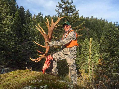 Montana Bitterroot Mountains Elk Hunt