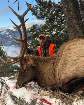 Montana Bitterroot Mountains Elk Hunt