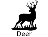 DeerSilhouette