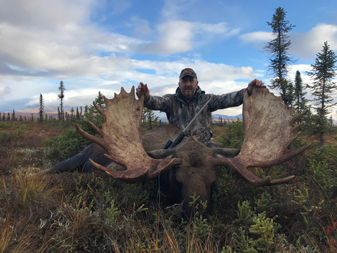 Interior or Coastal Alaska Trophy Moose Hunt