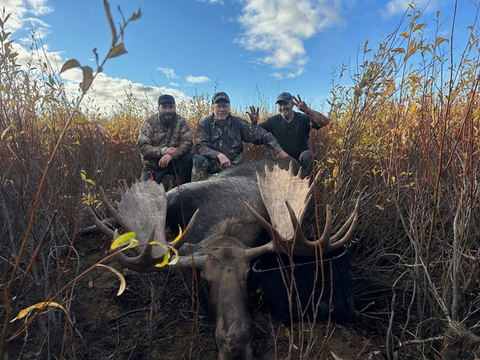 Interior or Coastal Alaska Trophy Moose Hunt