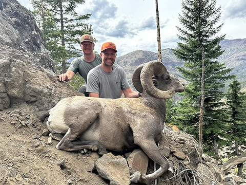 Wyoming Rocky Bighorn in the Washakie Wilderness