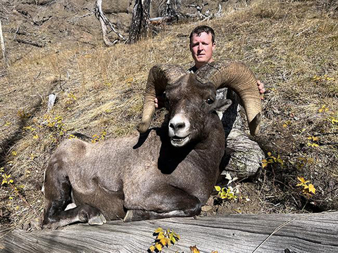 Wyoming Rocky Bighorn in the Washakie Wilderness