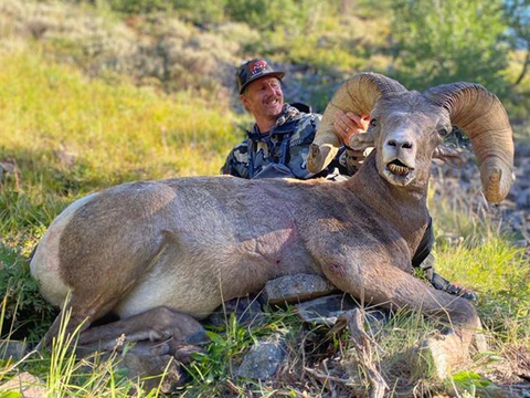 Wyoming Rocky Bighorn in the Washakie Wilderness
