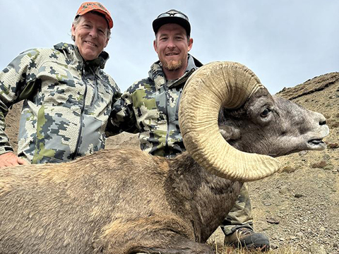Wyoming Rocky Bighorn in the Washakie Wilderness