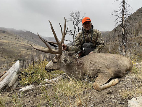 Wyoming Region F and Late Season Mule Deer Hunts